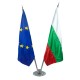 Interior chrome flag holder for two flags Interior chrome flag holder for two flags